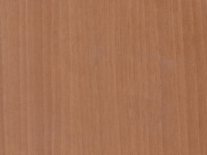 portes-foil-anigkre