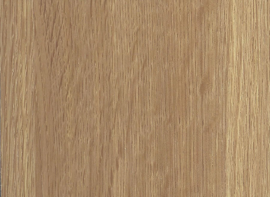 portes-foil-fisikodris